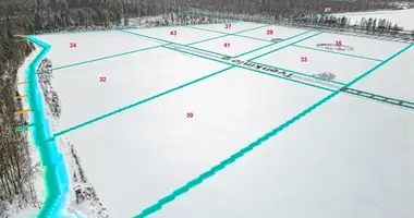 Plot of land in Neveronys, Lithuania
