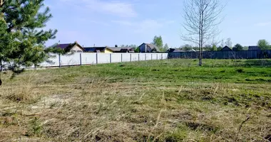 Grundstück in Hlivin, Belarus