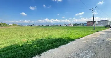 Terrain dans Berxulli, Albanie