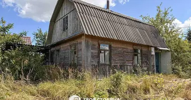 Дом 2 комнаты в Озерицко-Слободской сельский Совет, Беларусь