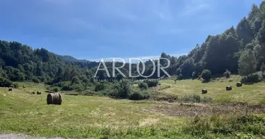 Terrain dans Crni Lug, Croatie