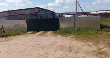 Produktion 312 m² in Uzdzienski sielski Saviet, Belarus