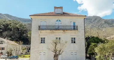 Casa 21 habitación en Prcanj, Montenegro