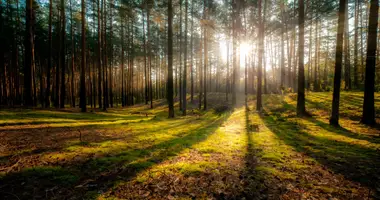 Plot of land in municipalnyj okrug Istra, Russia