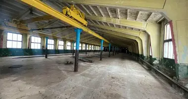 Производство 1 370 м² в Слуцк, Беларусь