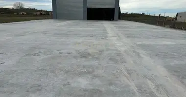 For Sale: Industrial Warehouse (Kapanon) in Rrashbull area, outskirts of Durrës — ready for use, full documentation in Bashkia Durres, Albania
