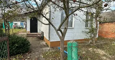 Дом в Пережирский сельский Совет, Беларусь