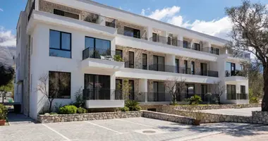 Apartment in Sisici, Montenegro