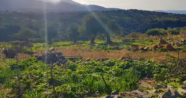 Terrain dans Municipality of Agios Nikolaos, Grèce