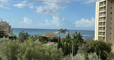 Apartamento 1 habitacion en Petrovac, Montenegro