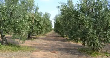 Grundstück in Municipality of Nea Propontida, Griechenland