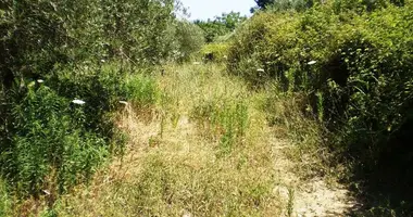 Terrain dans Nea Fokea, Grèce