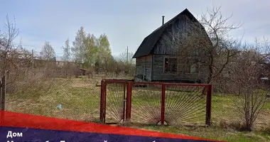 Дом в Пережирский сельский Совет, Беларусь