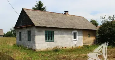 Haus in Telminski sielski Saviet, Belarus