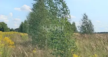 Plot of land in Gorodetsky District, Russia