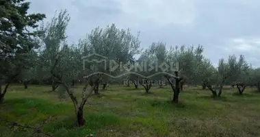 Земельные участки в Kalyves Polygyrou, Греция
