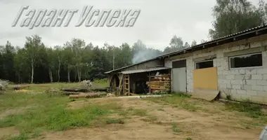 Manufacture in Kliejniki, Belarus