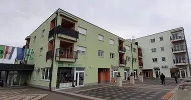 Investissement dans Municipality of Pisarovina, Croatie