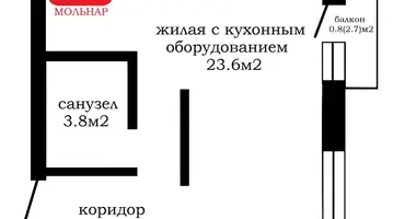 1 room apartment in Kopishche, Belarus