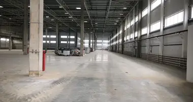 Склад 9 403 м² в Кошерово, Россия