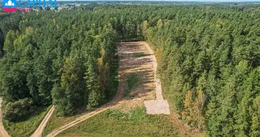 Działka w Dronsejki, Litwa