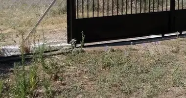 Участок земли в Псакоудия, Греция