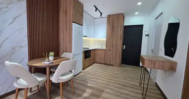 Studio rent on Jikia in Tiflis, Georgien