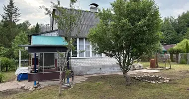 House in Cervienski sielski Saviet, Belarus