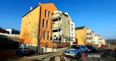 Appartement 1 chambre dans Teplice, République tchèque