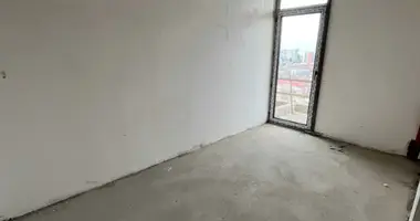 2 bedroom apartment in Tbilisi, Georgia