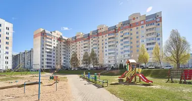 2 room apartment in Minsk, Belarus