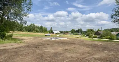Parcela en Rakauski sielski Saviet, Belarús