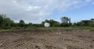 Terrain dans Zalivino, Russie