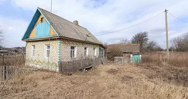 House in Usyazh, Belarus