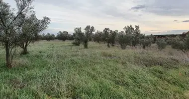 Plot of land in Elaiochoria, Greece