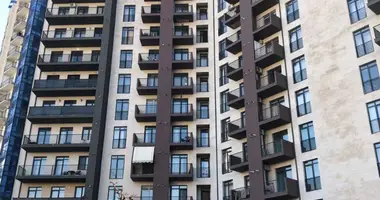 3 bedroom apartment in Tbilisi, Georgia