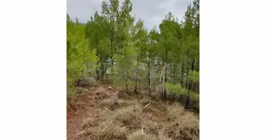 Plot of land in Bol, Croatia