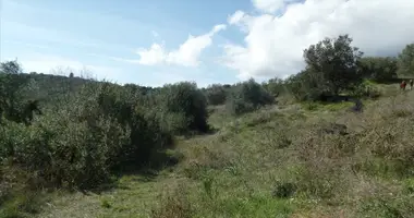 Участок земли в Municipality of Central Corfu and Diapontia Islands, Греция