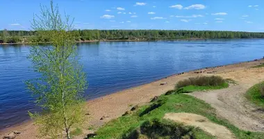 Plot of land in Dubrovka, Russia