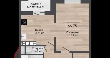 2 room apartment in Kalodziscanski sielski Saviet, Belarus