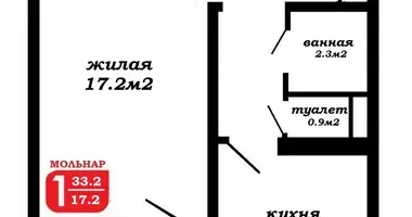 Wohnung 1 zimmer in Minsk, Belarus