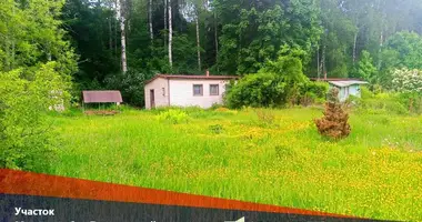 Участок земли в Пересадский сельский Совет, Беларусь