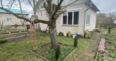 Haus in Paplauski sielski Saviet, Belarus