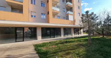Propiedad comercial en Podgorica, Montenegro