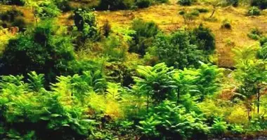 Plot of land in Makrochori, Greece