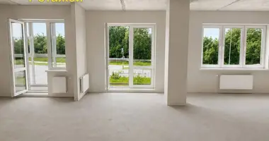 2 room apartment in Minsk, Belarus