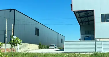 Manufacture 3 600 m² in Albania