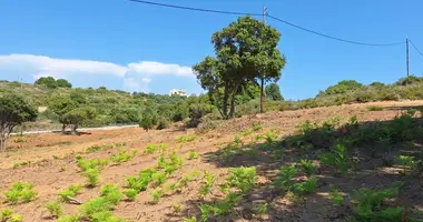 Участок земли в Халикоунас, Греция