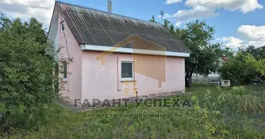 Haus in Skoki, Belarus