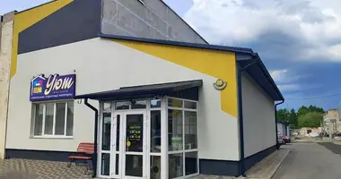 Магазин 182 м² в Слоним, Беларусь